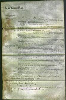 Court of Common Pleas - Mary Bell-Original Ancestry