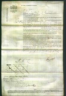 Court of Common Pleas - Ann Lake-Original Ancestry