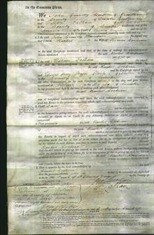 Court of Common Pleas - Rachel Cochran-Original Ancestry