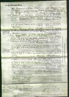 Court of Common Pleas - Emma Boucher-Original Ancestry