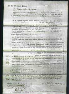 Court of Common Pleas - Jane Emily Smith-Original Ancestry