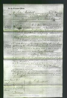 Court of Common Pleas - Mary Marshall-Original Ancestry