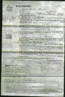 Court of Common Pleas - Elizabeth Linney-Original Ancestry