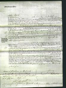 Court of Common Pleas - Sarah Williams, Ann Parry and Elizabeth Pritchard-Original Ancestry