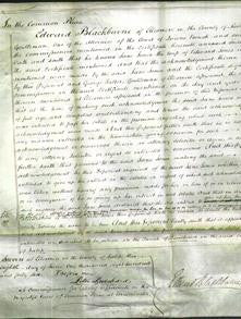 Court of Common Pleas - Jane Jones-Original Ancestry