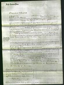 Court of Common Pleas - Mercy Pell-Original Ancestry