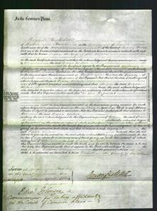 Court of Common Pleas - Diana Wilson-Original Ancestry