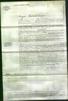 Court of Common Pleas - Elizabeth Sandfield Warren-Original Ancestry