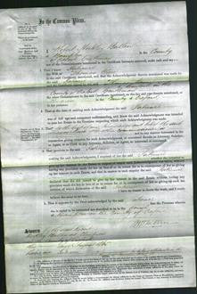 Court of Common Pleas - Patience Clare-Original Ancestry