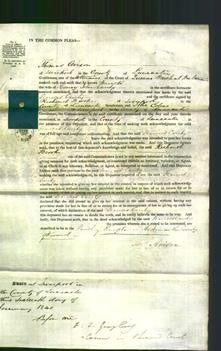 Court of Common Pleas - Frances Cauty-Original Ancestry