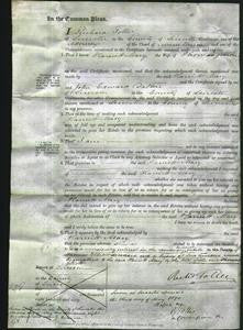 Court of Common Pleas - Harriet Mary Jesson-Original Ancestry