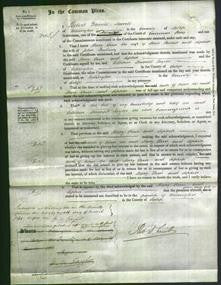 Court of Common Pleas - Mary Ann Pascall and Sophia Poultney-Original Ancestry