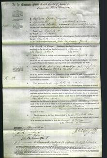 Court of Common Pleas - Elizabeth Ann Hosken-Original Ancestry