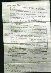 Court of Common Pleas - Anna Bingham and Eliza Taylor-Original Ancestry