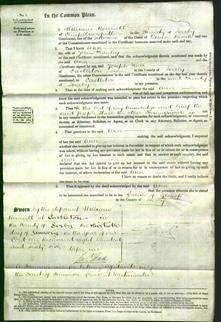 Court of Common Pleas - Ann Hanley-Original Ancestry