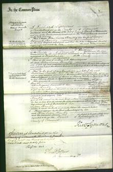 Court of Common Pleas - Ellen Susan Hambley-Original Ancestry