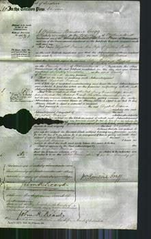 Court of Common Pleas - Elizabeth Maria Procter-Original Ancestry