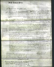 Court of Common Pleas - Elizabeth Sugden-Original Ancestry