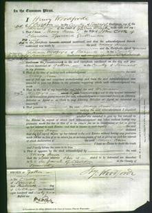 Court of Common Pleas - Mary Ann Cook-Original Ancestry