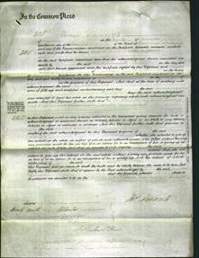 Court of Common Pleas - Elizabeth Worswick-Original Ancestry