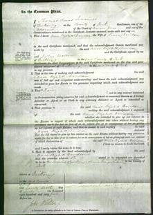 Court of Common Pleas - Anne Elizabeth Davidson-Original Ancestry