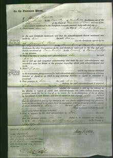 Court of Common Pleas - Ann Clear-Original Ancestry