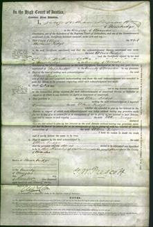 Court of Common Pleas - Ellen Judge-Original Ancestry