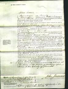 Court of Common Pleas - Maria Saysell-Original Ancestry