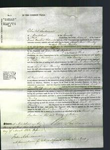 Court of Common Pleas - Sarah Ann Kemsley-Original Ancestry