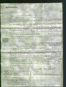 Court of Common Pleas - Elizabeth Hedges-Original Ancestry