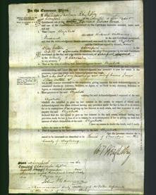 Court of Common Pleas - Elizabeth Prichard-Original Ancestry