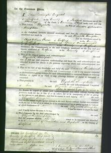 Court of Common Pleas - Elizabeth Kempton-Original Ancestry