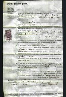 Court of Common Pleas - Catherine Hooper-Original Ancestry