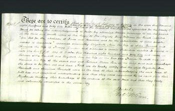 Deed by Married Women - Elizabeth Ann Randall and Jemima Randall-Original Ancestry
