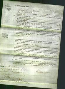 Court of Common Pleas - Mary Ann Taylor