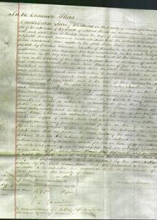 Court of Common Pleas - Ann Pain-Original Ancestry