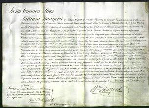 Court of Common Pleas - Maria Wisbey-Original Ancestry