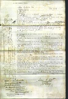 Court of Common Pleas - Mary Ann Yapp-Original Ancestry