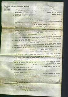 Court of Common Pleas - Harriet Maria Preston-Original Ancestry