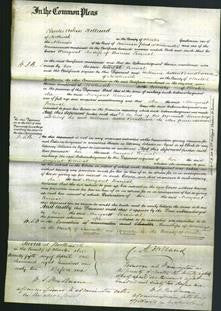 Court of Common Pleas - Margaret Percival-Original Ancestry