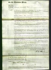 Court of Common Pleas - Elizabeth Tomlinson-Original Ancestry