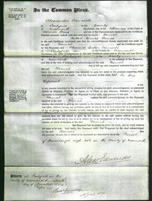 Court of Common Pleas - Hannah Thomas-Original Ancestry