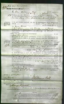 Court of Common Pleas - Amy Ann Jarvis-Original Ancestry