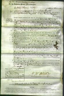 Court of Common Pleas - Henrietta Elizabeth Dudgeon