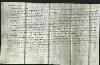 Court of Common Pleas - Eliza Sheard-Original Ancestry