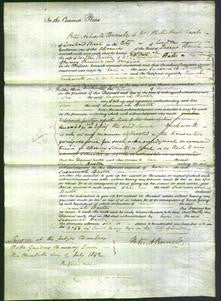 Court of Common Pleas - Susannah Barton-Original Ancestry