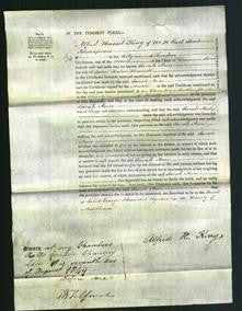 Court of Common Pleas - Sarah Ann Kennell-Original Ancestry