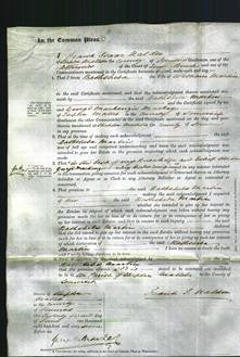 Court of Common Pleas - Bathsheba Martin-Original Ancestry