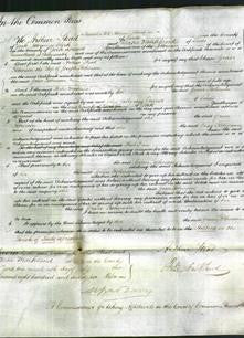 Court of Common Pleas - Grace Robinson-Original Ancestry