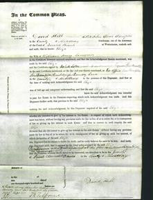 Court of Common Pleas - Eliza Lammin-Original Ancestry